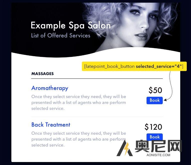 LatePoint汉化版 -WordPress预约和预订插件+addones LatePoint汉化版 -WordPress预约和预订插件+addones