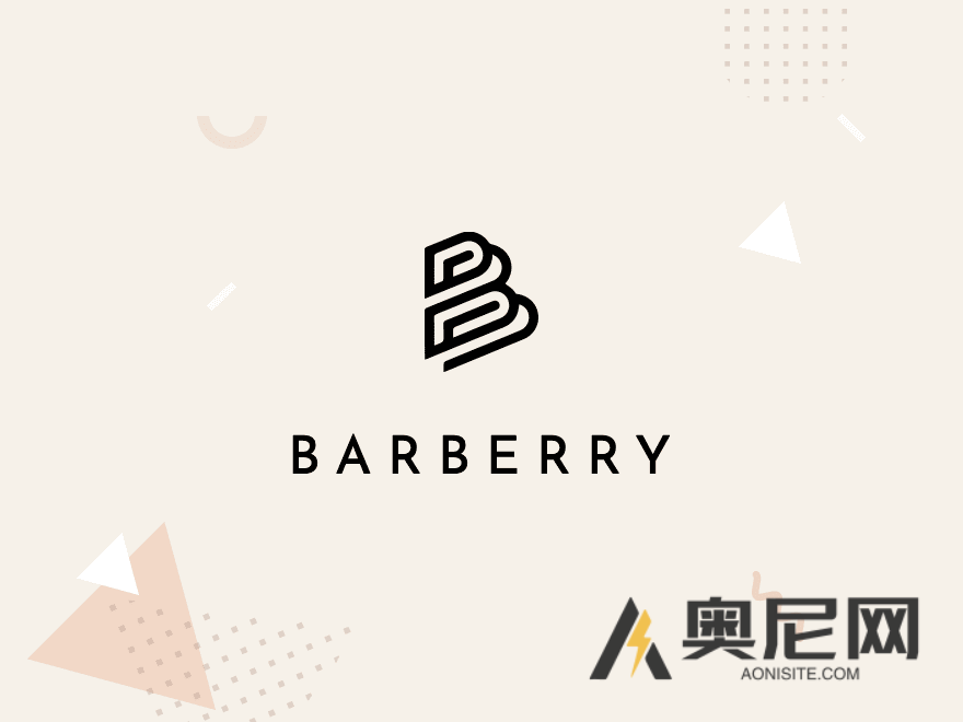 Barberry 汉化主题-WordPress Woocommerce现代商业主题 Barberry 汉化主题-WordPress Woocommerce现代商业主题