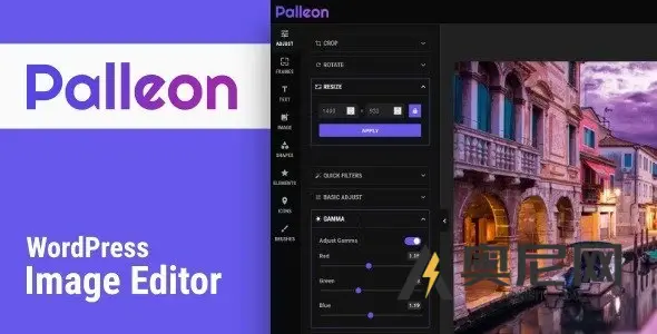 Palleon 汉化版- 图像编辑器WordPress插件