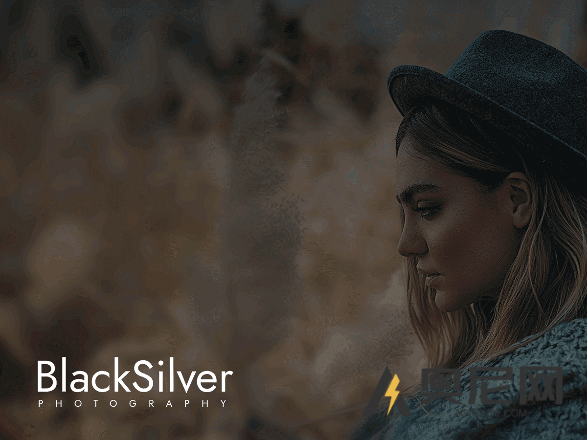 Blacksilver主题汉化版– WordPress专业摄影主题+demo演示数据 Blacksilver主题汉化版– WordPress专业摄影主题+demo演示数据