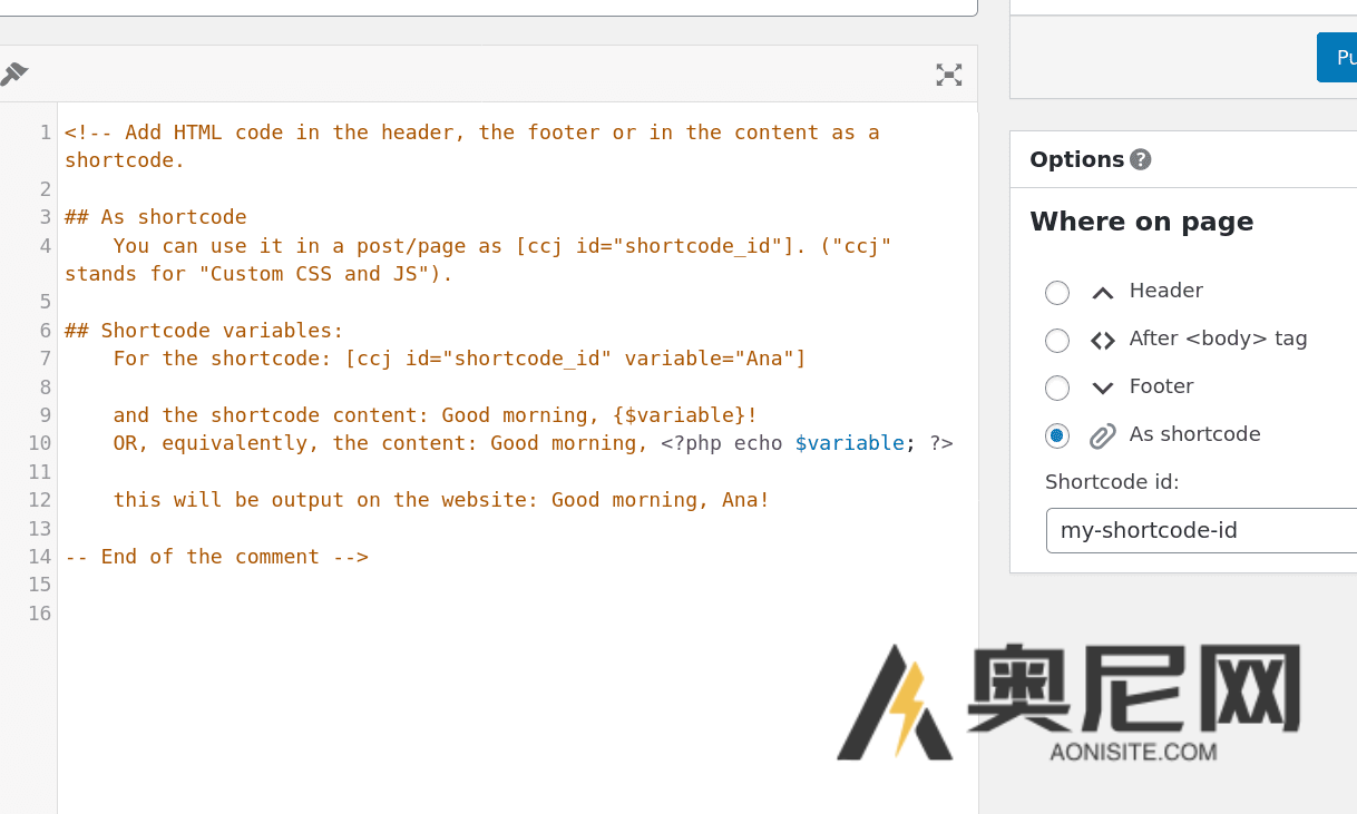 Simple Custom CSS and JS PRO – 自定义 CSS&JS wordpress插件 Simple Custom CSS and JS PRO – 自定义 CSS&JS wordpress插件