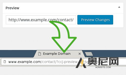 Simple Custom CSS and JS PRO – 自定义 CSS&JS wordpress插件 Simple Custom CSS and JS PRO – 自定义 CSS&JS wordpress插件
