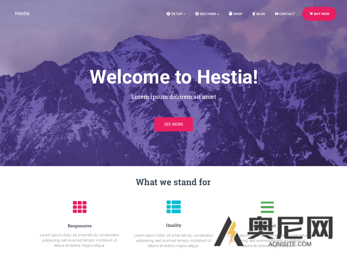 Hestia Pro 汉化版-初创企业WordPress轻量商业主题 Hestia Pro 汉化版-初创企业WordPress轻量商业主题