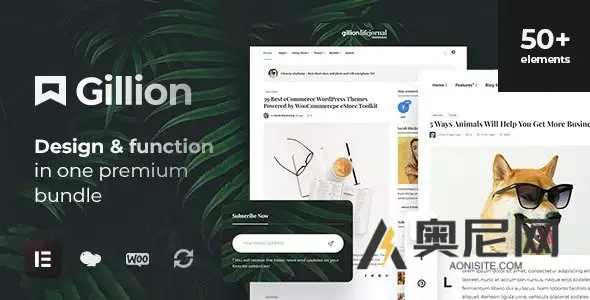 Gillion 汉化版-多概念博客杂志和商城WordPress AMP主题 Gillion 汉化版-多概念博客杂志和商城WordPress AMP主题