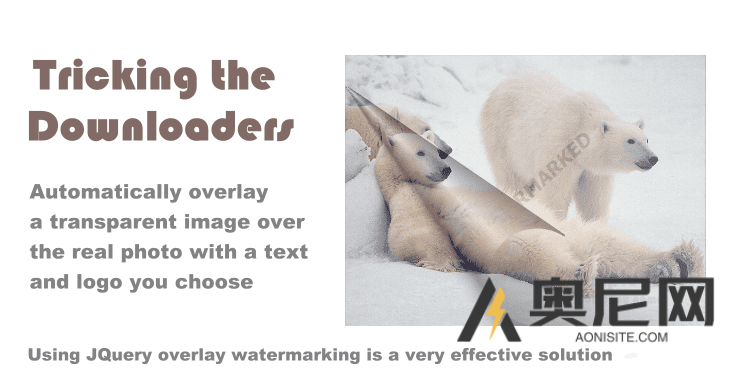 WP Content Copy Protection & No Right Click (premium)汉化版-WordPress内容复制保护限制右键插件 WP Content Copy Protection & No Right Click (premium)汉化版-WordPress内容复制保护限制右键插件