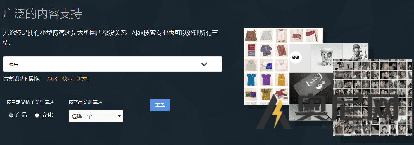 Ajax Search Pro汉化版-WordPress实时搜索引擎插件 Ajax Search Pro汉化版-WordPress实时搜索引擎插件