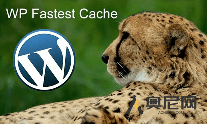 WP Fastest Cache Premium 汉化版-WordPress高级缓存插件