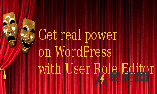 User Role Editor Pro汉化版-WordPress用户角色管理器插件