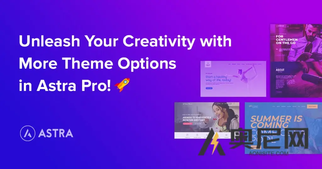Astra Pro 插件 v4.9.1