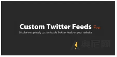 自定义 Twitter Feeds Pro v2.4.6