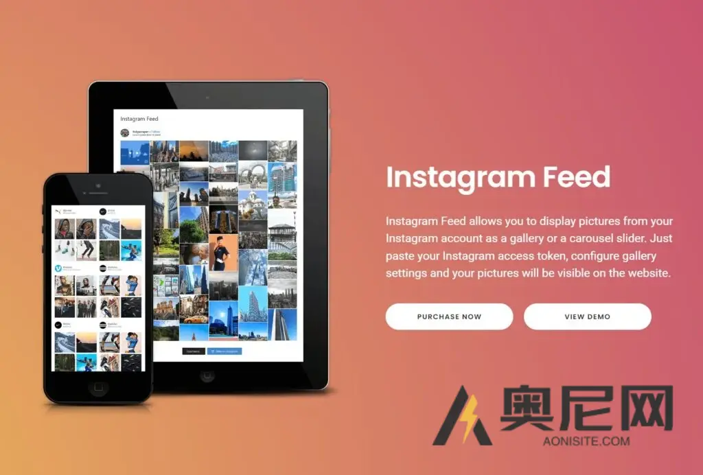 QuadLayers 的 Instagram Feed Pro v4.3.1 QuadLayers 的 Instagram Feed Pro v4.3.1