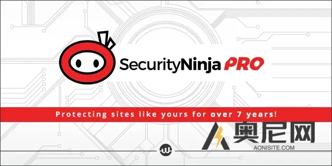 安全忍者专业版 v5.229 安全忍者专业版 v5.229