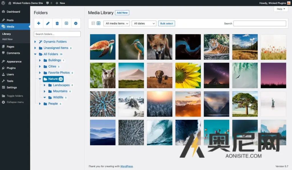 邪恶文件夹专业版 v3.2.1 邪恶文件夹专业版 v3.2.1