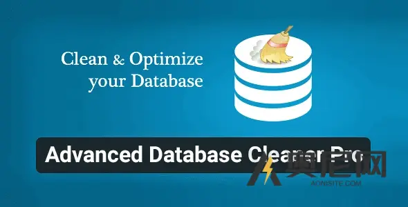 高级数据库清理专业版 v3.2.11