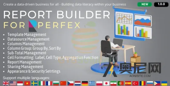 适用于 Perfex CRM v1.0.0 的 Report Builder 模块