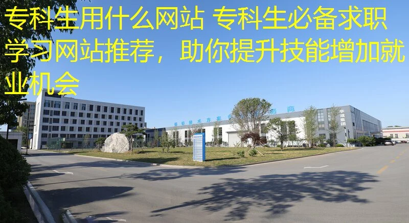 专科生用什么网站 专科生必备求职学习网站推荐，助你提升技能增加就业机会