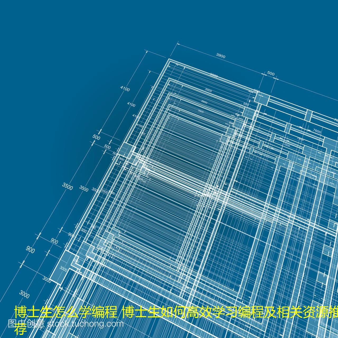 博士生怎么学编程 博士生如何高效学习编程及相关资源推荐