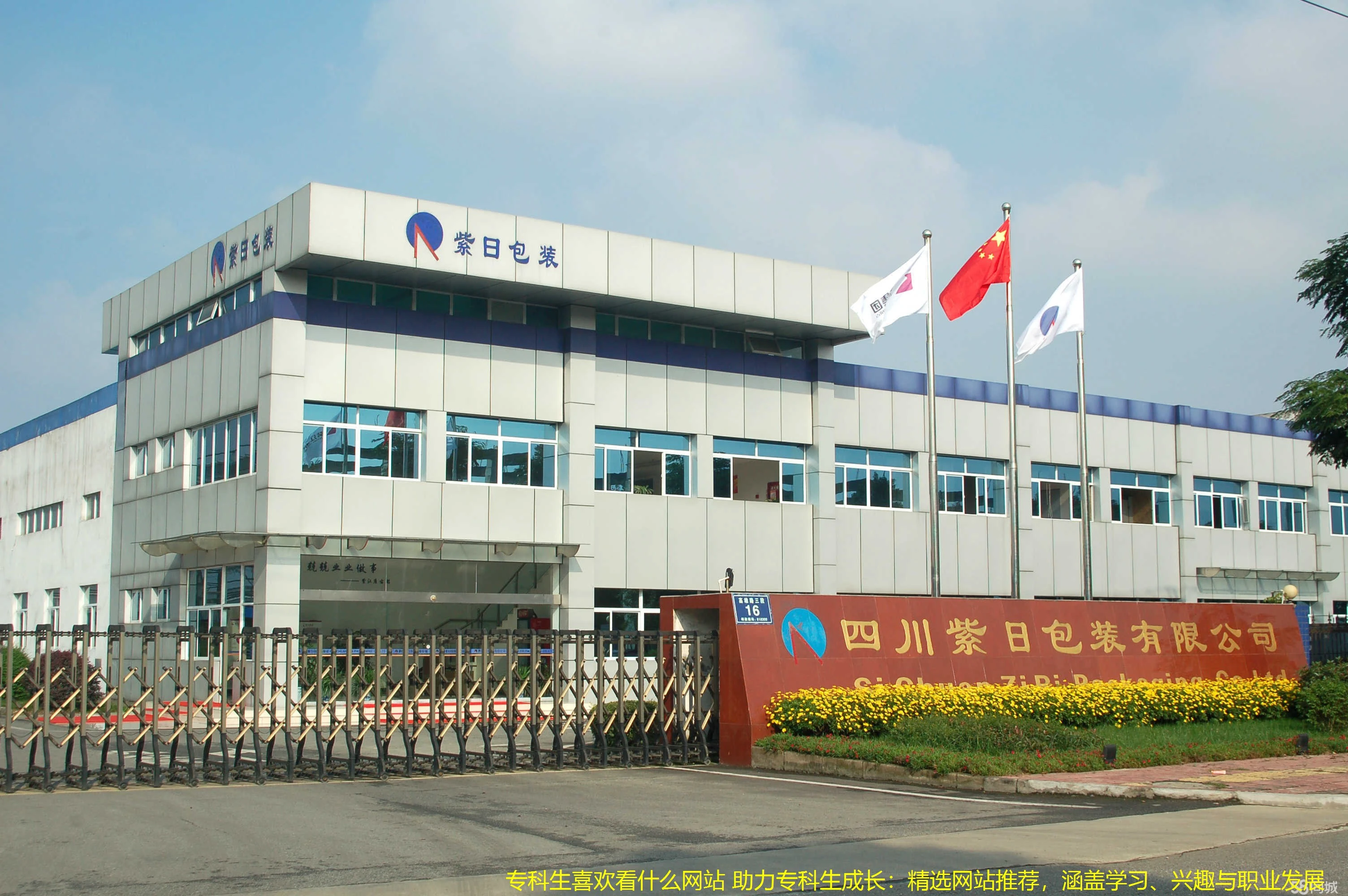 专科生喜欢看什么网站 助力专科生成长：精选网站推荐，涵盖学习、兴趣与职业发展