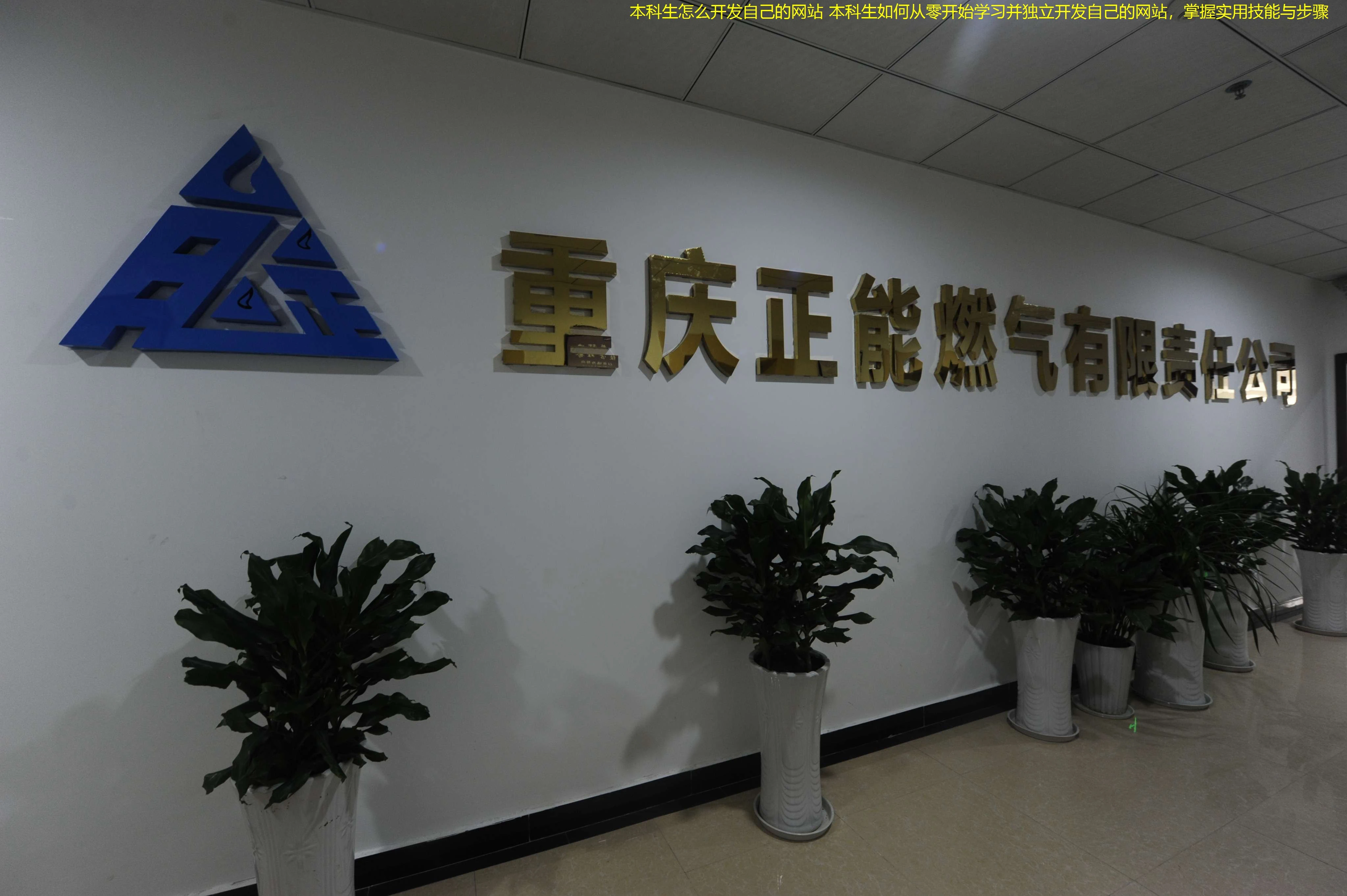 本科生怎么开发自己的网站 本科生如何从零开始学习并独立开发自己的网站，掌握实用技能与步骤