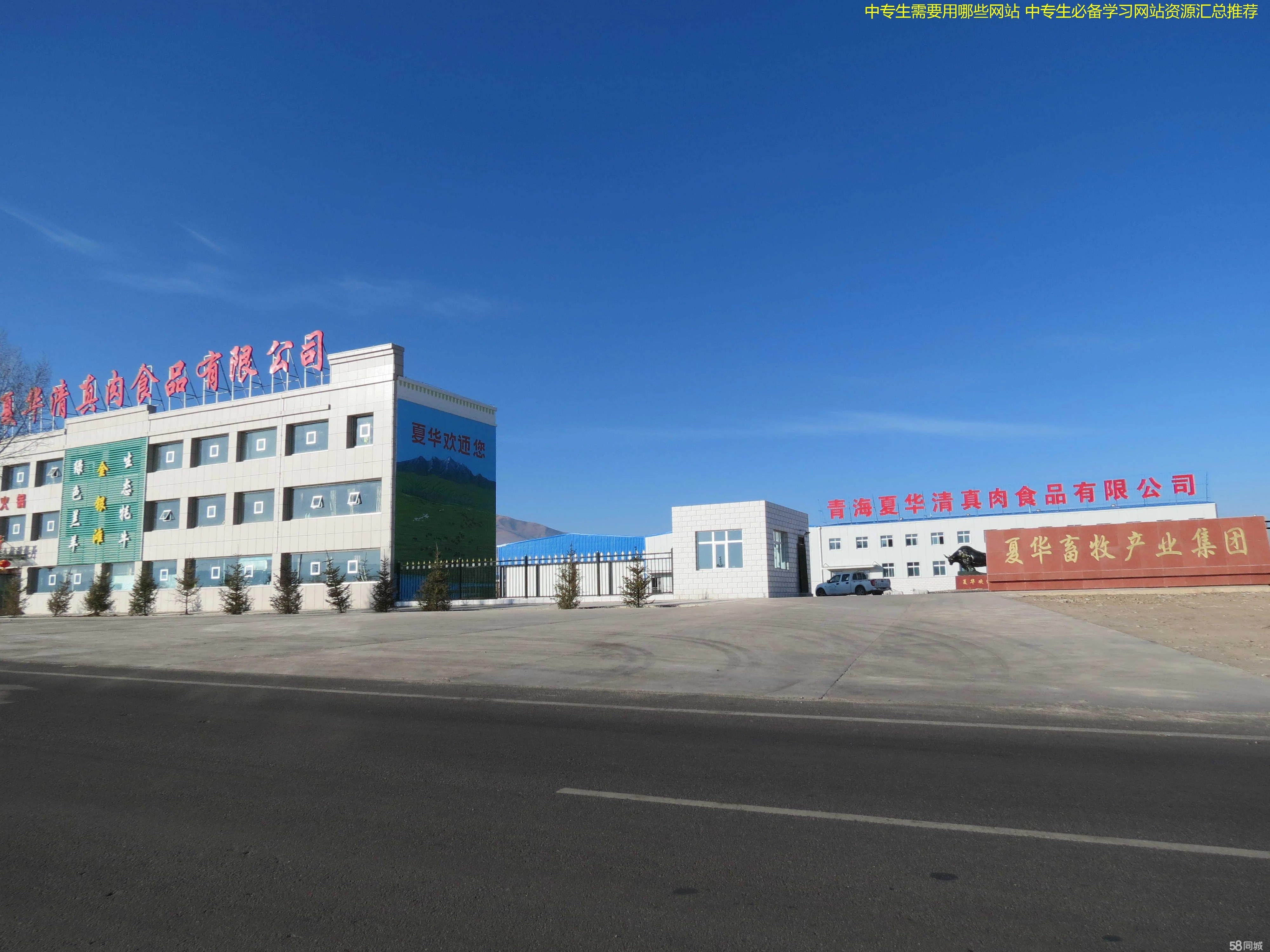 中专生需要用哪些网站 中专生必备学习网站资源汇总推荐
