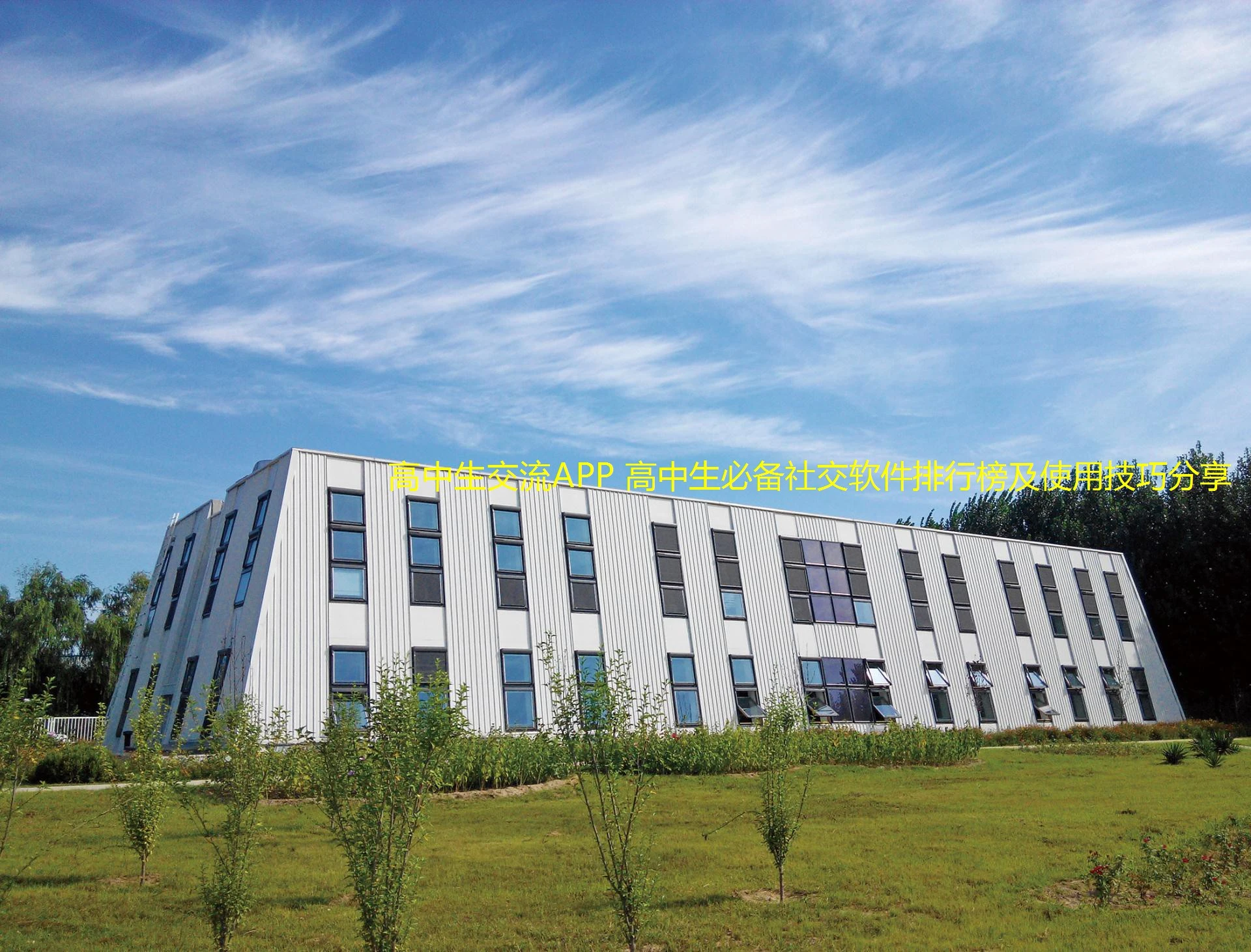 高中生交流APP 高中生必备社交软件排行榜及使用技巧分享
