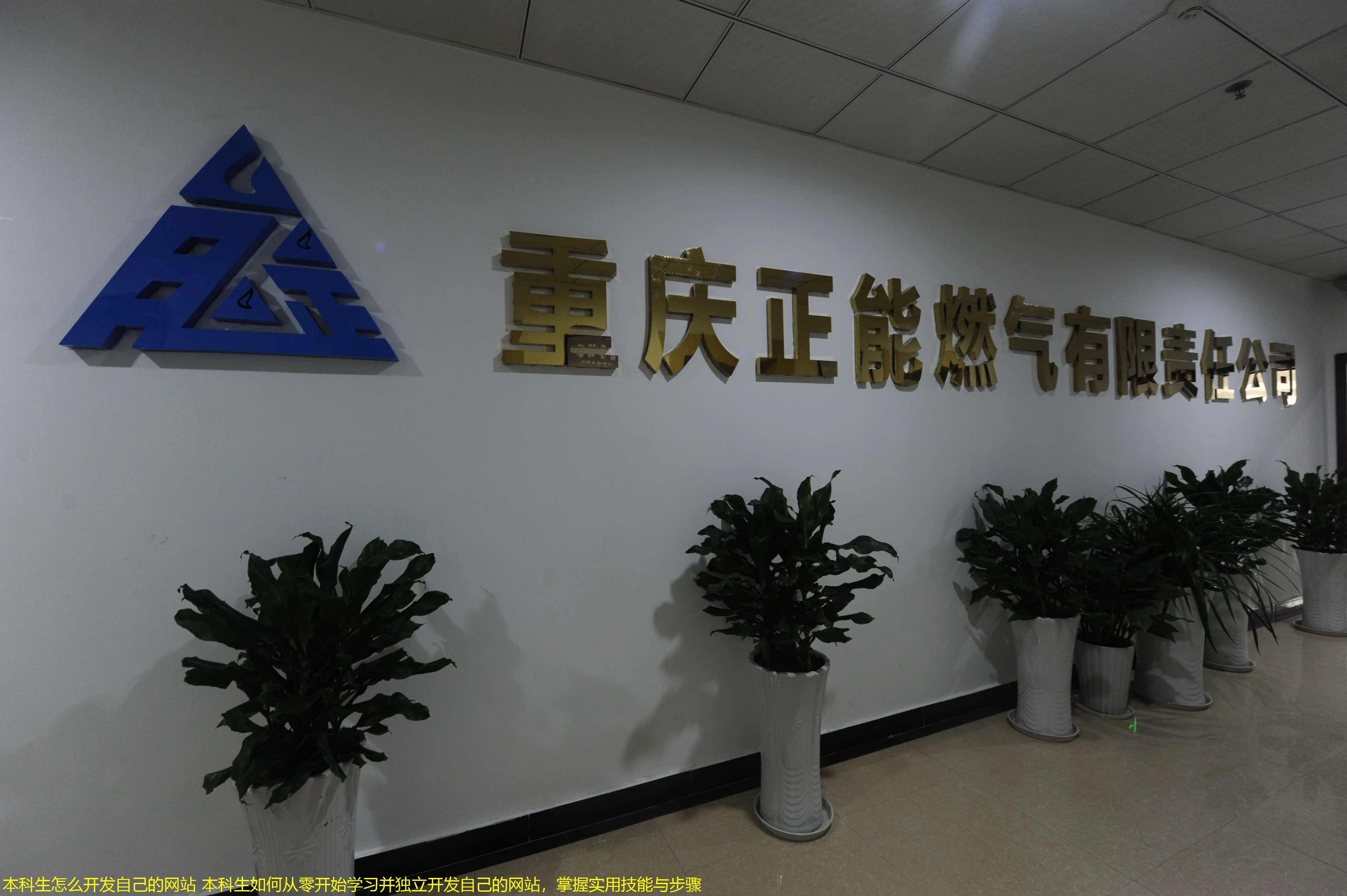 本科生怎么开发自己的网站 本科生如何从零开始学习并独立开发自己的网站，掌握实用技能与步骤