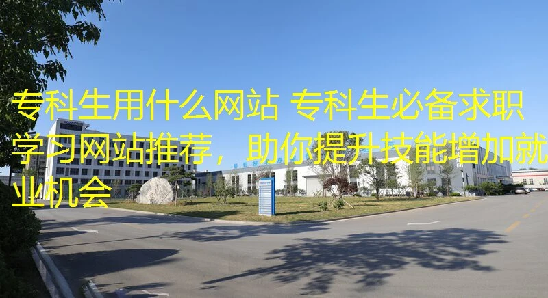 专科生用什么网站 专科生必备求职学习网站推荐，助你提升技能增加就业机会