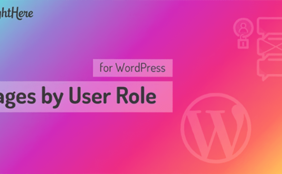 Pages by User Role汉化版-WordPress页面权限限制插件