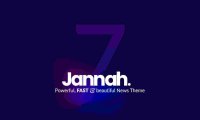 Jannah News 精准汉化版-新闻杂志CMS响应式WordPress主题(含全部插件)