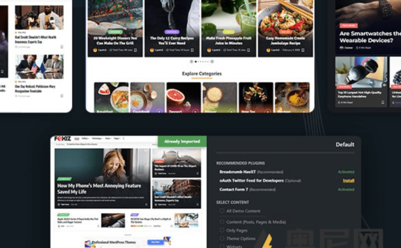 Foxiz 主题汉化版- WordPress 新闻和杂志媒体主题