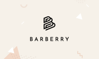 Barberry 汉化主题-WordPress Woocommerce现代商业主题