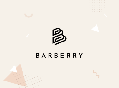 Barberry 汉化主题-WordPress Woocommerce现代商业主题