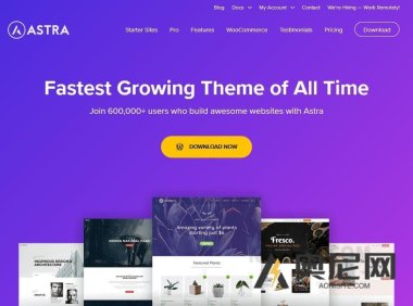 Astra 主题 v4.9.0 – WordPress 主题