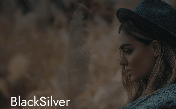 Blacksilver主题汉化版– WordPress专业摄影主题+demo演示数据