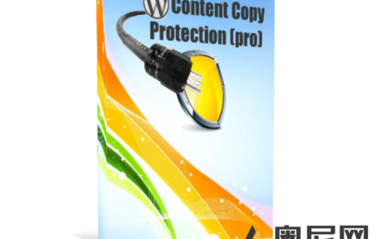 WP Content Copy Protection & No Right Click (premium)汉化版-WordPress内容复制保护限制右键插件