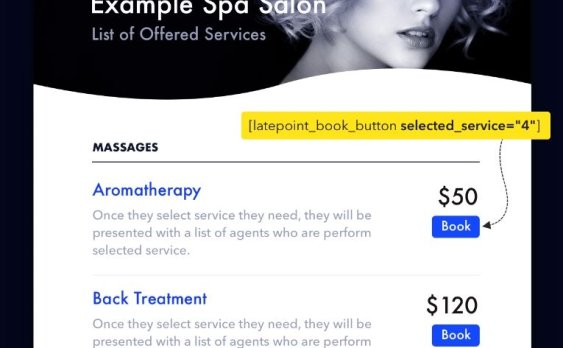 LatePoint汉化版 -WordPress预约和预订插件+addones