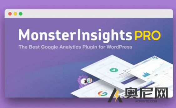 MonsterInsights Pro 汉化版- WordPress 网站访问分析插件+附加功能组件 
