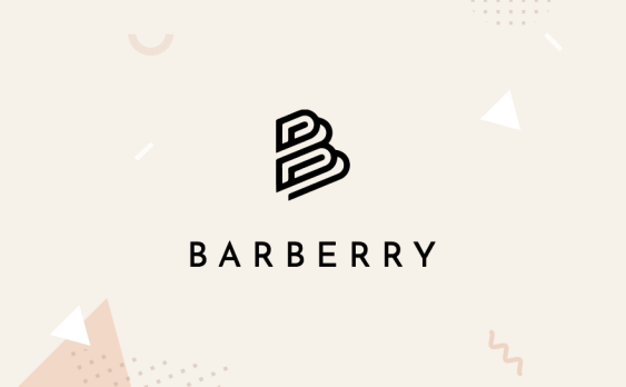 Barberry 汉化主题-WordPress Woocommerce现代商业主题