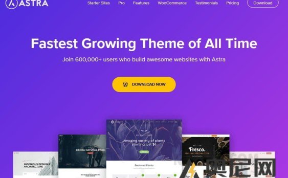 Astra 主题 v4.9.0 – WordPress 主题