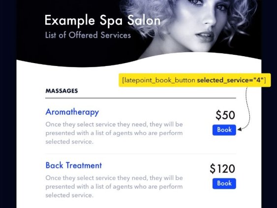 LatePoint汉化版 -WordPress预约和预订插件+addones